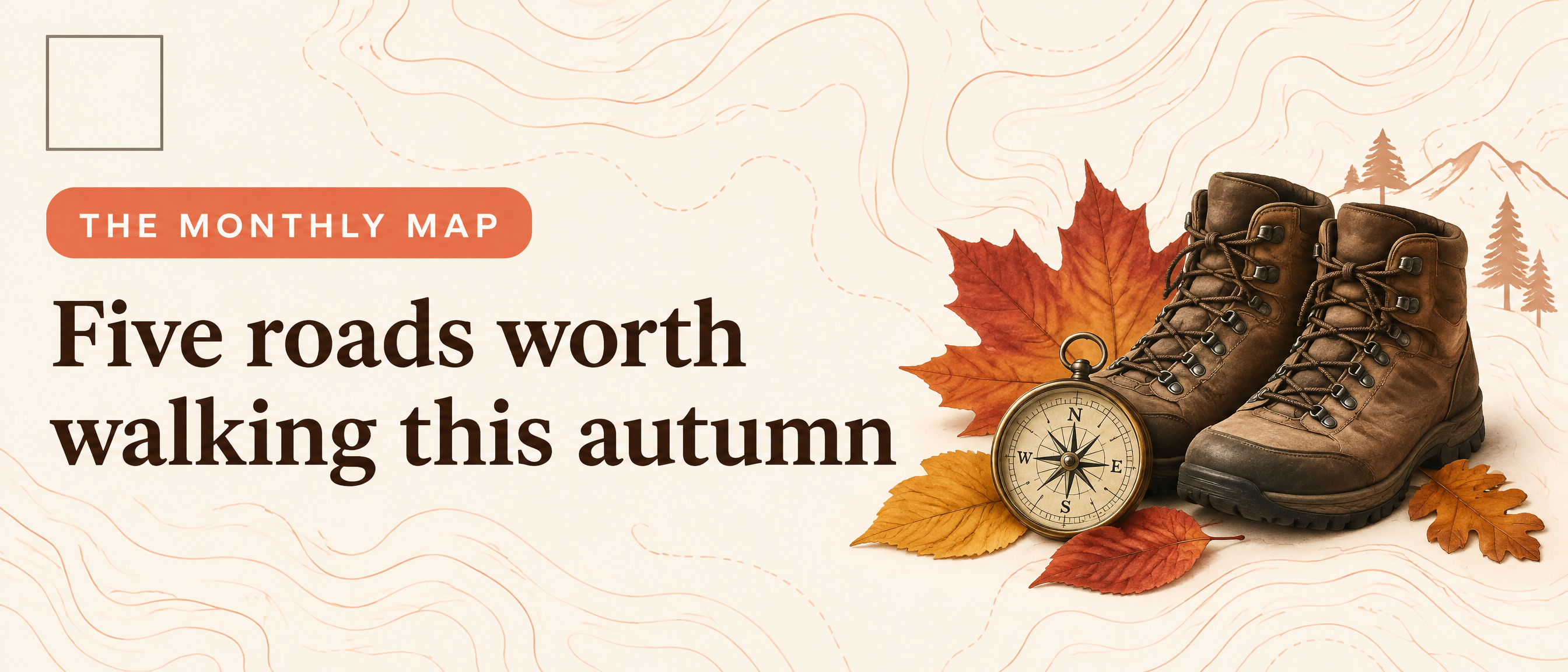 Cream email header with topographic pattern and autumn walking theme